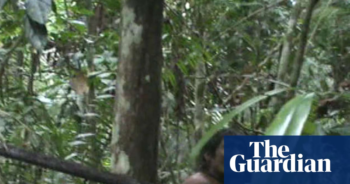The loggers and ranchers are closing in but still Brazil’s Kawahiva people wait for protection