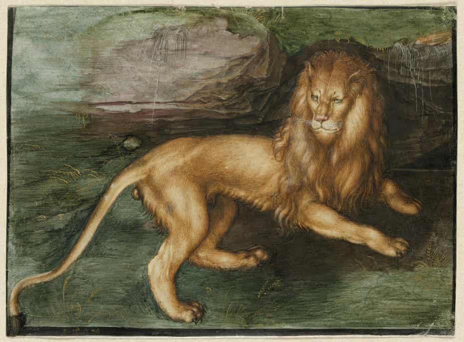 A Lion, 1494 by Albrecht Dürer.