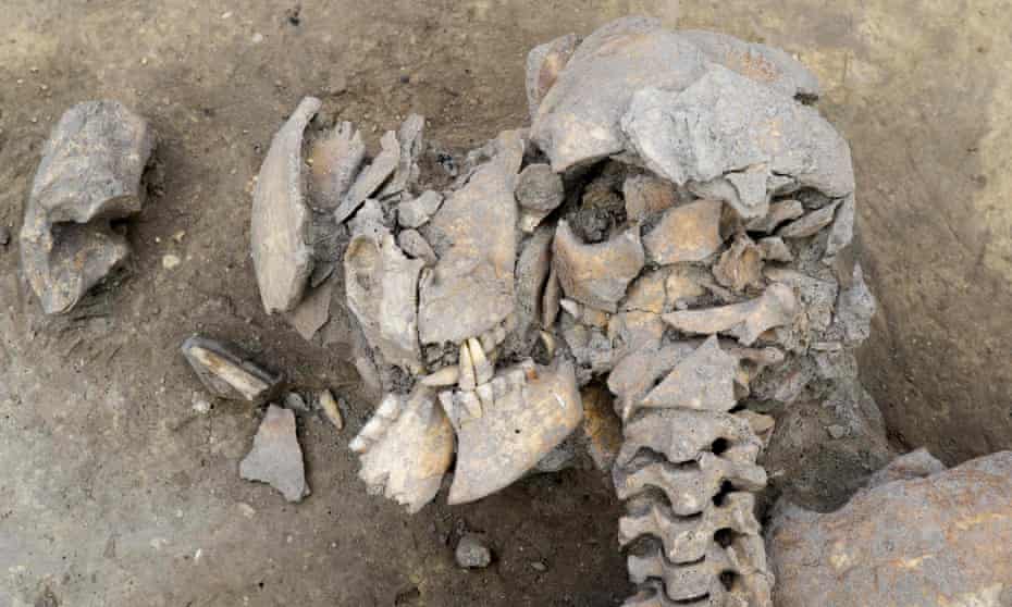 A shattered skull discovered among fractured and fossilised skeletons at the site of an archaeological dig in Alsace, north-eastern France. 