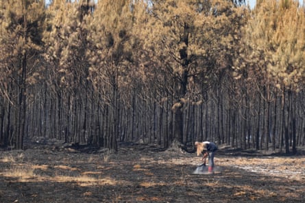A woman pours a bucket of water on to smouldering grass