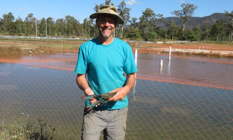 Colin Valverde on his crayfish farm in the Atherton Tablelands, North Queensland.