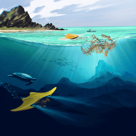 Artist’s impression of the robot that will collect and sink the sargassum.