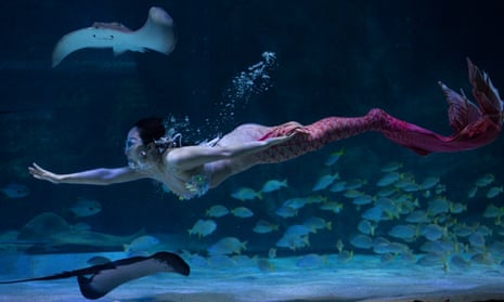 A South Korean diver wearing a little mermaid costume performs in a tank ahead of the 'Chuseok' national holiday, at the Coex Aquarium in Seoul, South Korea,