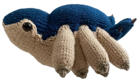 Skywhales Knit