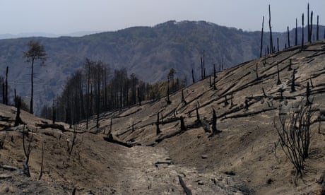 The aftermath of a wildfire in Calabria’s Aspromonte mountain range, Italy