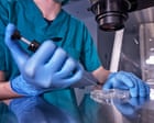 Monash IVF admits second bungled embryo implant, this time at Victorian clinic