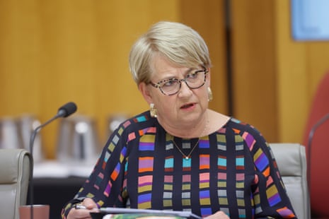 Greens senator Barbara Pocock.