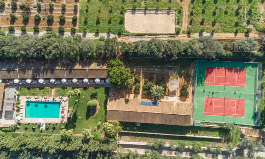 'The wonderful pool is flanked by palm trees': Sa Bassa Rotja, Porreres.