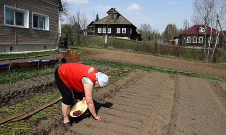 A woman plants seeds in her vegetable garden in the village of Gorki, Russia.
