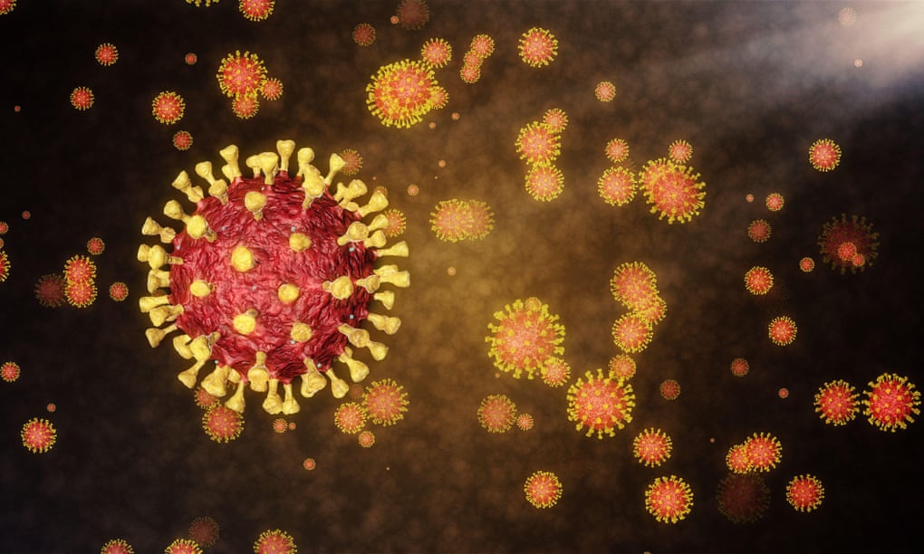 Image of coronavirus Covid-19
