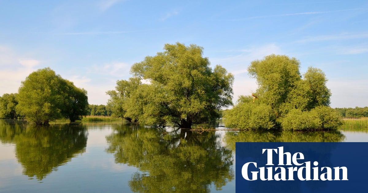 Горещото време се оказа по смъртоносно в хърватския град Осиек отколкото