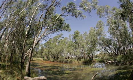 A view of the Murray River