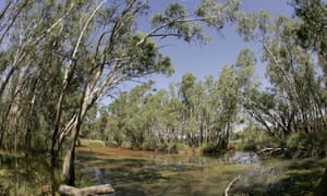 Federally biodiversity funding and the long-running Landcare program to tackle land degradation are facing the biggest annual cuts. 