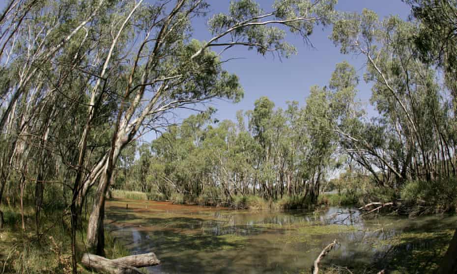 The Murray-Darling basin