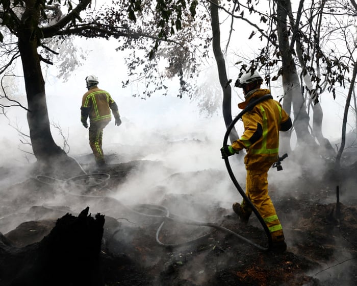 Without action wildfires in Europe will increase 39% even in best-case climate scenario, study finds