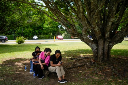 people sit in the shade of a tree