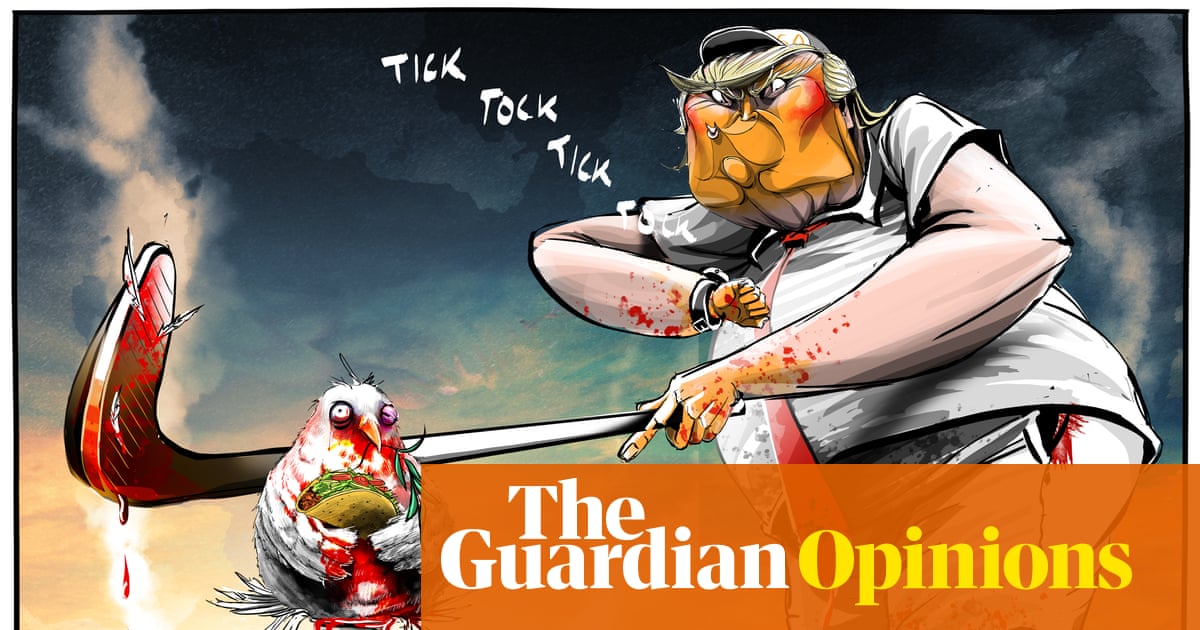 Ella Baron on Donald Trump and the Iran war – cartoon