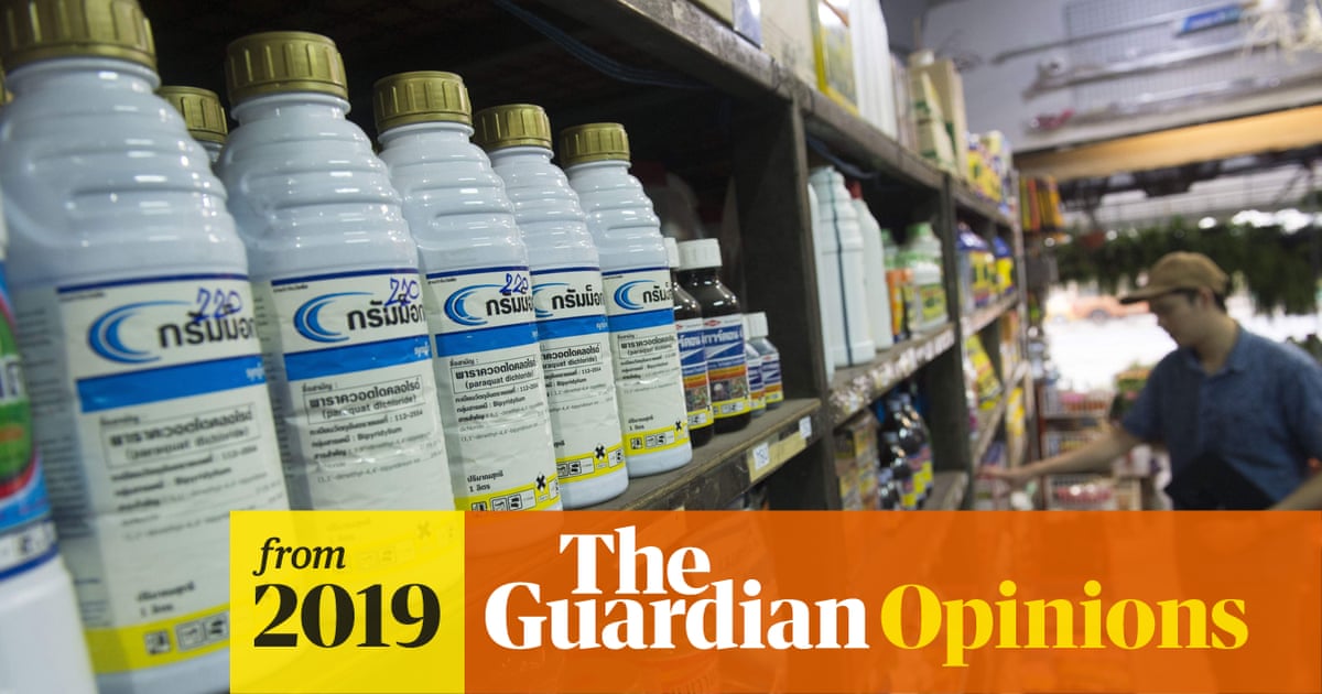 amp.theguardian.com