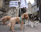 Pets at polling stations – in pictures