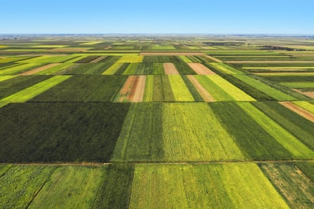 Aerial view of neat rectangular farm fields with no bushes or trees between them.