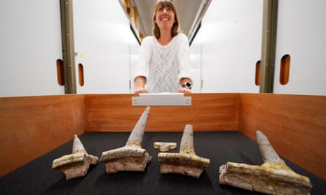 Dr Susannah Maidment at the Natural History Museum in London with remains of the oldest ankylosaur ever discovered and the first from Africa.