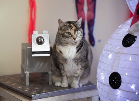 Griffiths’ one-eyed cat Ruby poses.