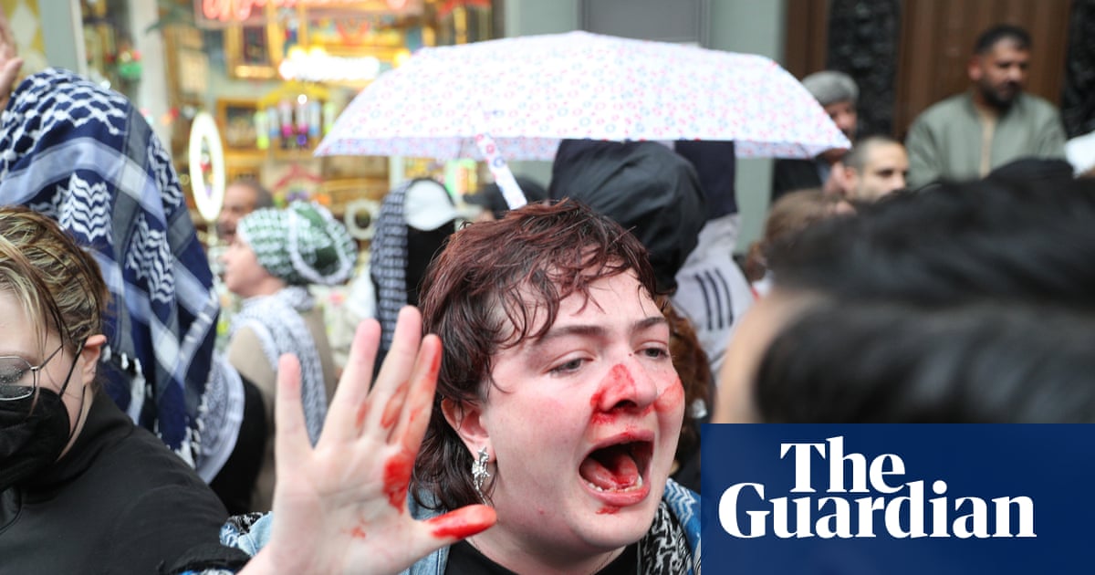 Berlin police investigate after officer strikes Irish activist at protest
