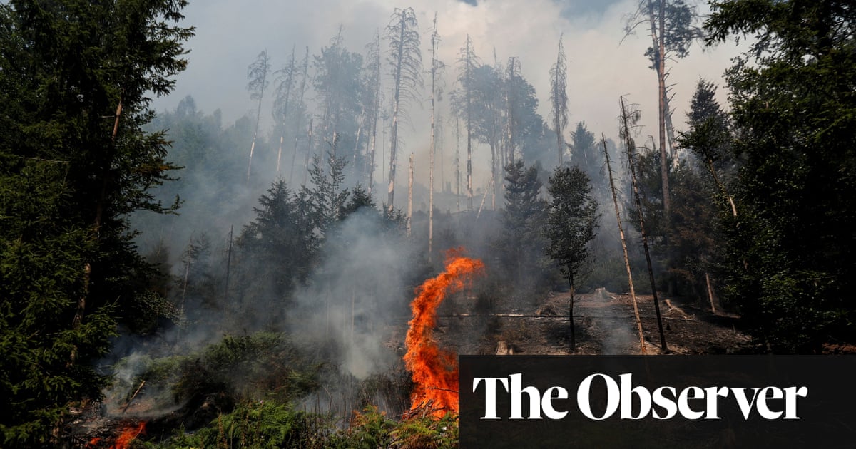 ‘Wake-up call’ for climate-sceptic Czechs as blaze devastates national park