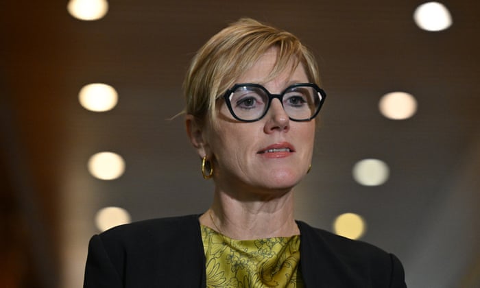 Independent member for Goldstein, Zoe Daniel.