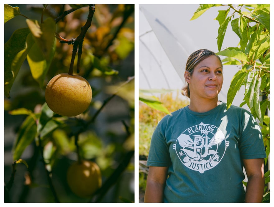 left: image of fruit. right: portrait of woman in t-shirt