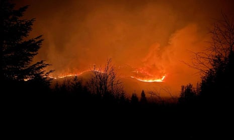 Global Wildfires in 2025: A Tale of Devastation in Affluent Regions and Declining Global Burn Area