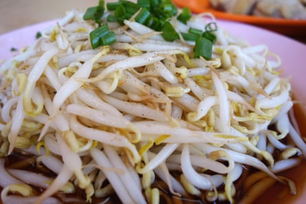 Close up of fresh bean sprouts at local restaurant in Ipoh