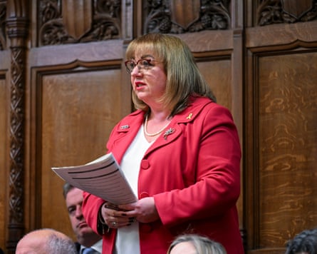 Sharon Hodgson speaking in the Commons
