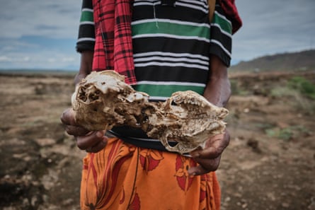 A man holds two goat skulls