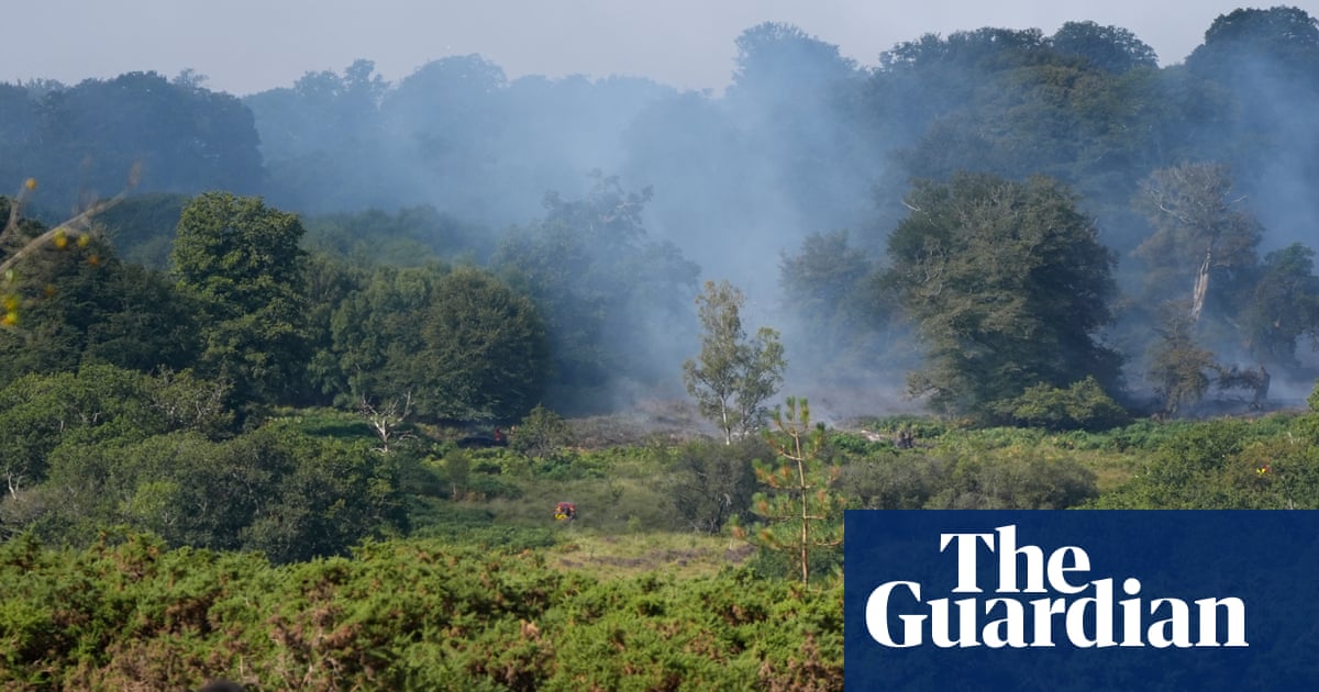 Rare animals threatened as wildfire ravages New Forest heathland