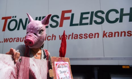 A protestor wearing a pig mask in front of the Tönnies headquarters in Rheda-Wiedenbrueck, Germany.