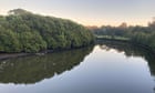 Police search for mother and child after evidence of human birth found on Sydney riverbank