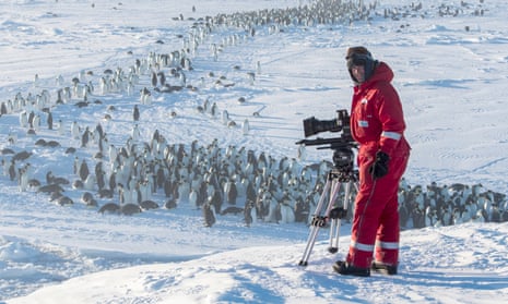 Dynasties cameraman with the Emperor penguin colony.