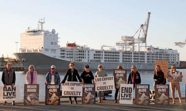 Animal welfare protesters are seen at a rally in front of the Al Kuwait live export ship as sheep are loaded in Fremantle harbour, 16 June, 2020
