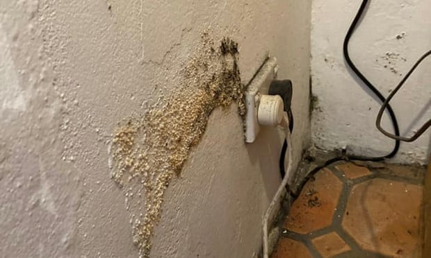 This Isn't Safe': Nsw Renters Fight Twin Battles Against Mould And  Landlords | Housing | The Guardian
