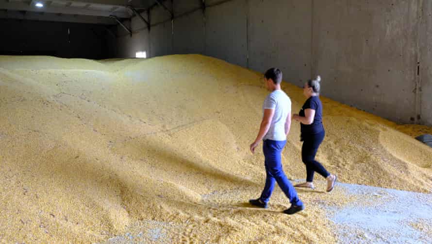 Un magasin de céréales dans la région de Zaporizhzhia.