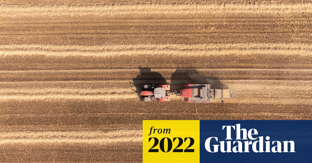 Yara Warns Surging Fertilizer Prices Squeeze Farmers