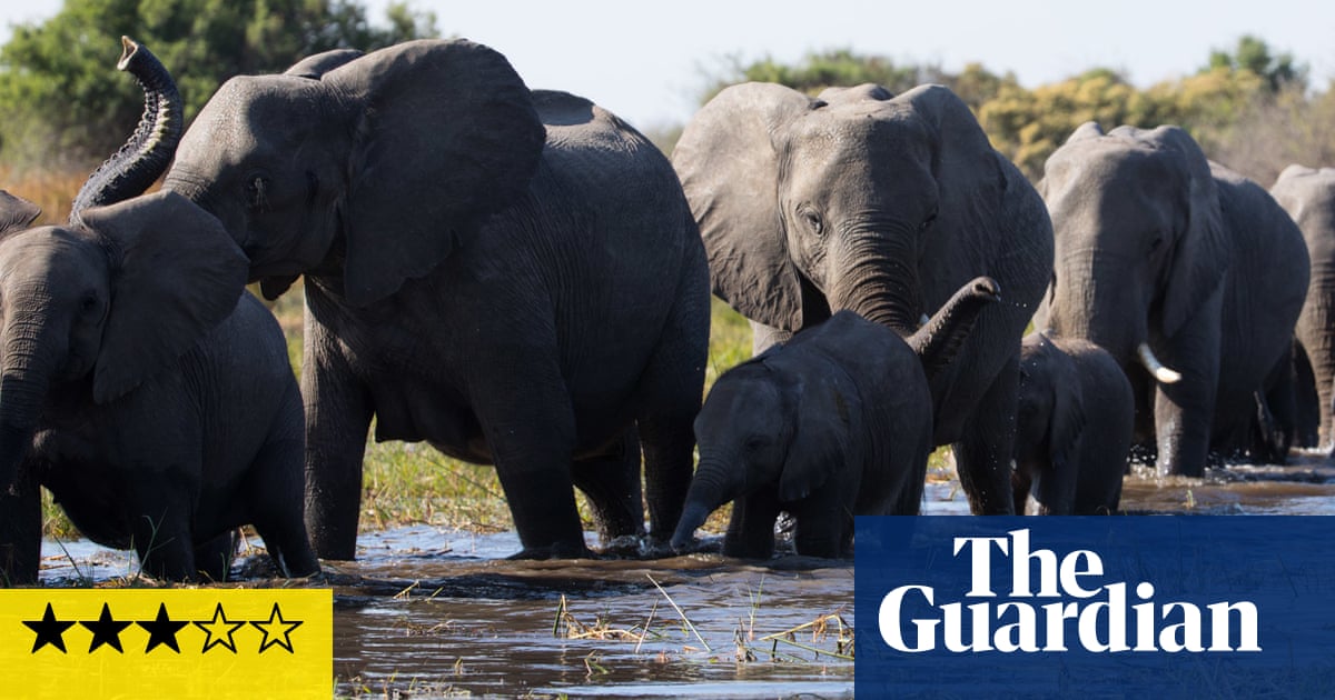 Elephant review – Meghan Markle adds schmaltz to Disney yarn