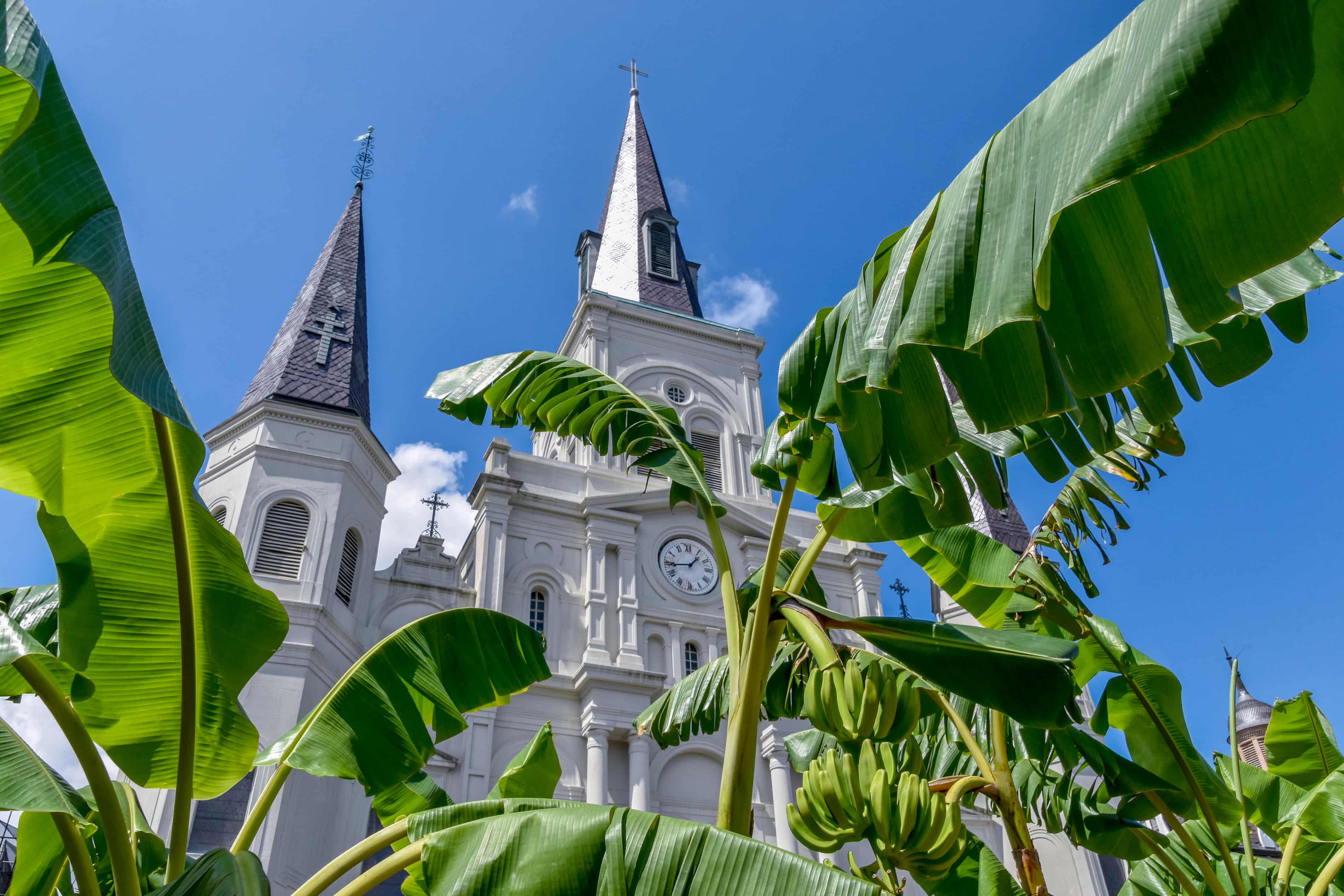 More links surface between bankruptcy case under FBI investigation and church reorganization (theguardian.com)