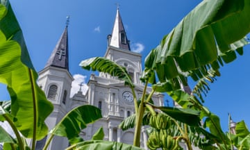 The Roman Catholic archdiocese in New Orleans in 2017.