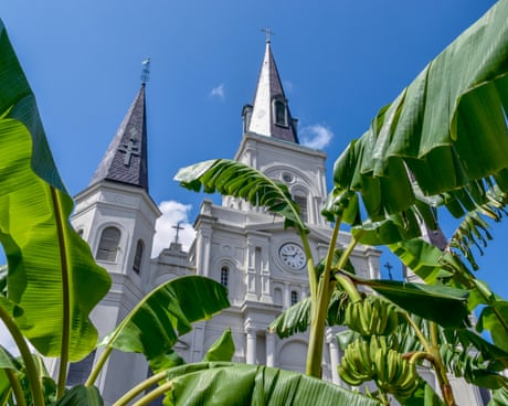a church is seen through greenery