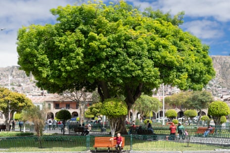 An elderly man sits on a bench beneath a large tree in a town square on a sunny day.
