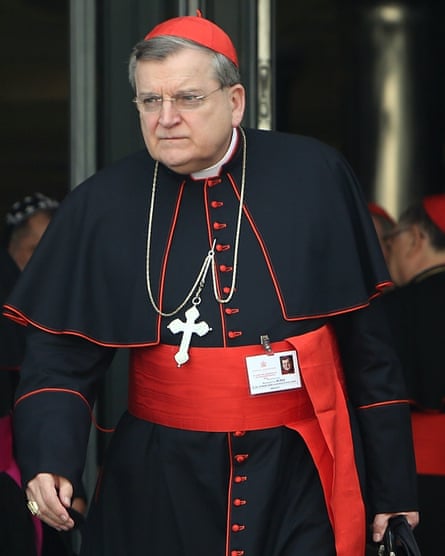 Cardinal Raymond Burke: