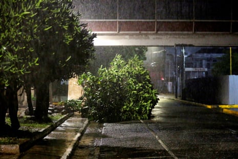 A fallen tree lies on a street while it rains in Kingston, Jamaica.