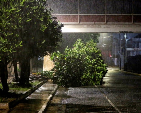 A fallen tree on a street in Kingston, Jamaica, as Hurricane Melissa approaches